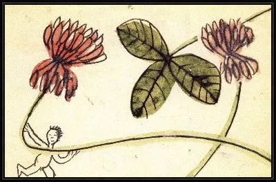 Картина Открытка (1916-1956) (Postcard)