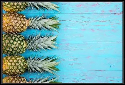 Картина Ананасы №9