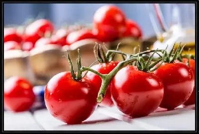 Картина Томаты - помидоры №4