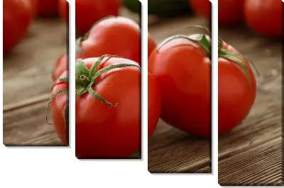 Модульная картина Томаты - помидоры №5