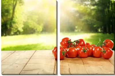 Модульная картина Томаты - помидоры №6
