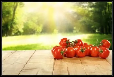 Картина Томаты - помидоры №6