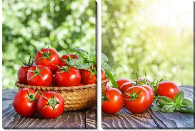 Модульная картина Томаты - помидоры №7