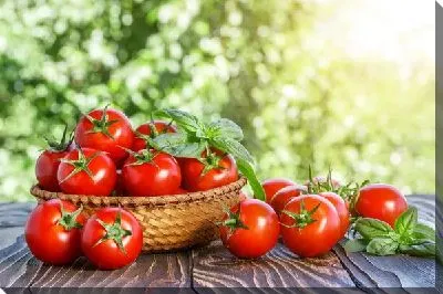Постер Томаты - помидоры №7