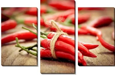 Модульная картина Красный перец №2