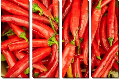 Модульная картина Красные перцы №2