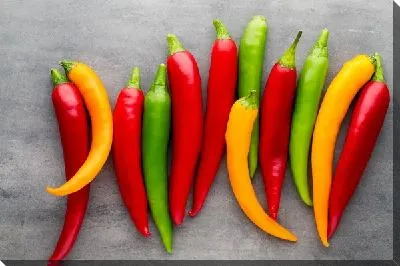 Постер Перцы №6