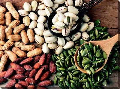 Постер Орехи №10