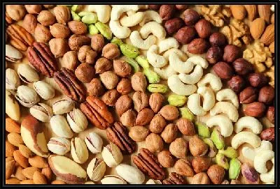 Картина Орехи №15