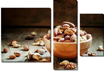 Модульная картина Орехи №16