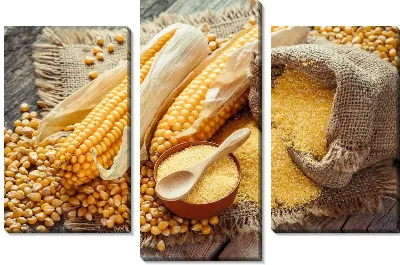 Кукуруза №19