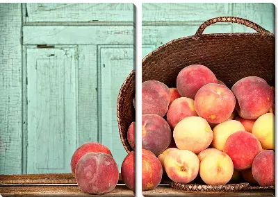 Модульная картина Персики №9