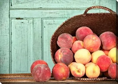 Постер Персики №9