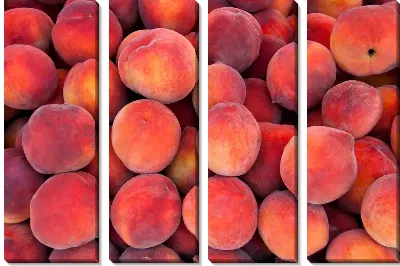 Модульная картина Персики №10