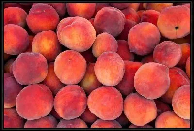 Картина Персики №10