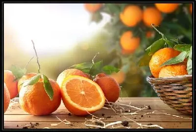 Апельсины №18