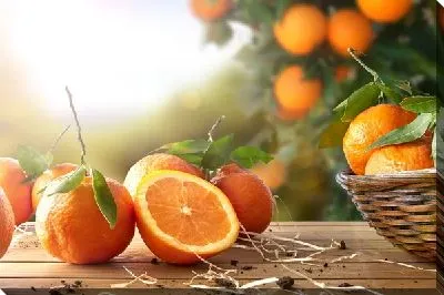 Апельсины №18