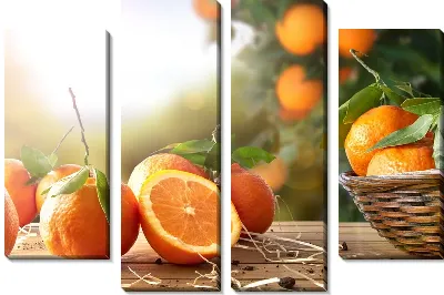 Апельсины №18