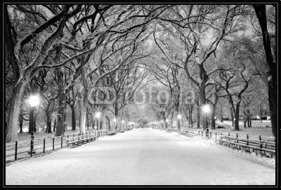 Центральный парк, Нью-Йорк в снегу
