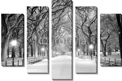 Центральный парк, Нью-Йорк в снегу