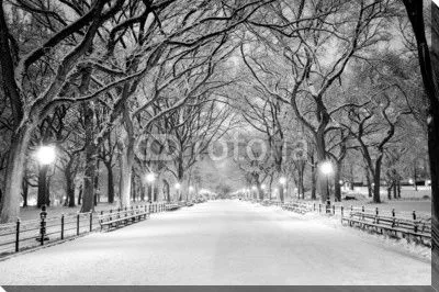 Центральный парк, Нью-Йорк в снегу