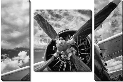 Винт самолета