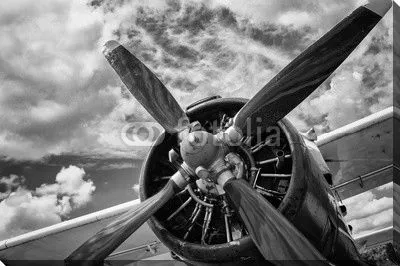 Винт самолета