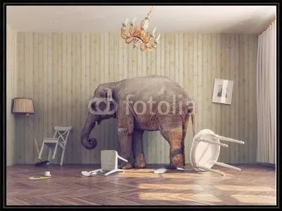 Слон в комнате