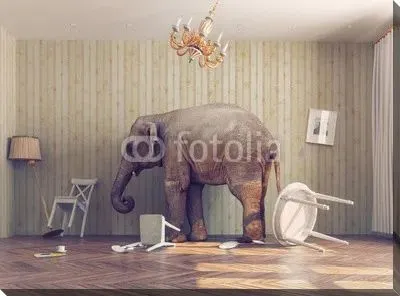 Слон в комнате