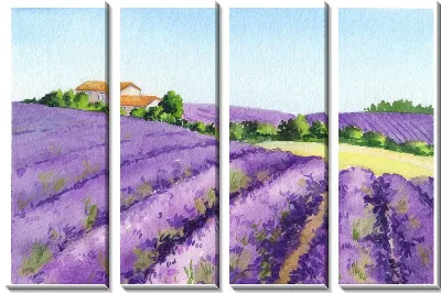 Модульная картина Поля лаванды в провинции Прованс №7