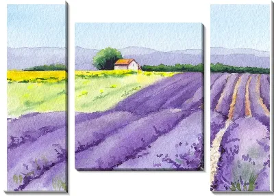 Модульная картина Поля лаванды в провинции Прованс №8