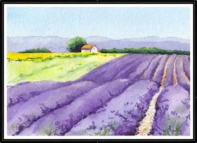 Картина Поля лаванды в провинции Прованс №8