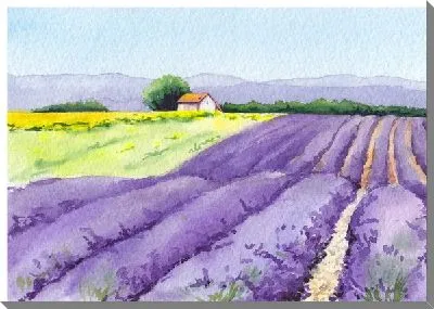 Картина маслом Поля лаванды в провинции Прованс №8