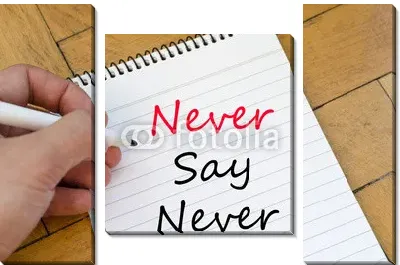 Никогда не говори никогда