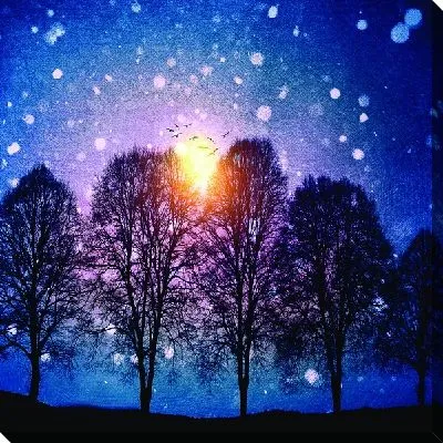 Постер Деревья на фоне Солнца