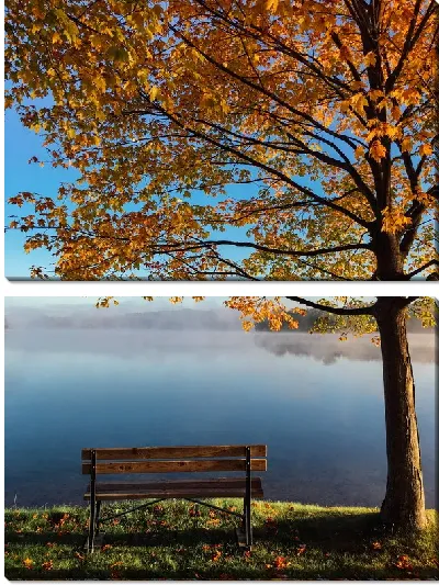Модульная картина Осеннее дерево и лавочка у озера