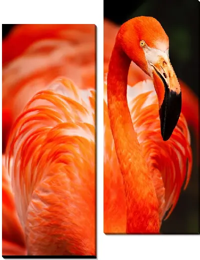 Модульная картина Фламинго