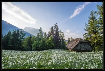 Картина Домик в деревне №3