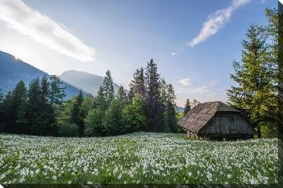 Постер Домик в деревне №3