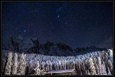 картина