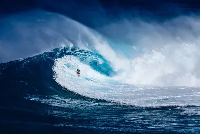 шаблон id 38