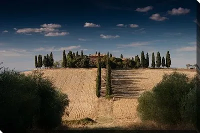 Итальянский пейзаж с кипарисами