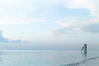 Плакат Качели на озере