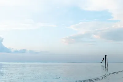 шаблон id 38