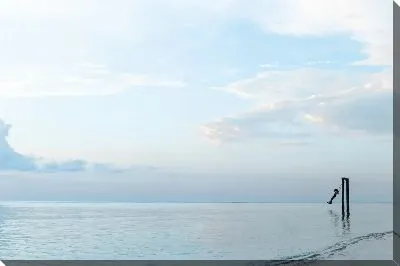 Постер Качели на озере