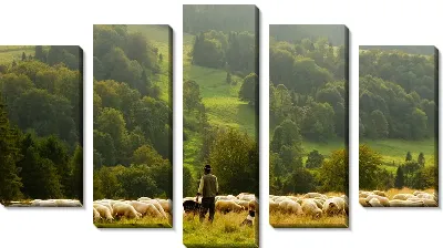 картина