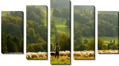 картина