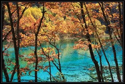 Картина Природа №2