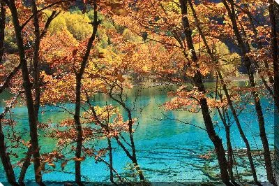 Картина маслом Природа №2