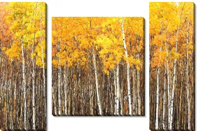 Модульная картина Стволы деревьев березы